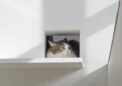 3階の猫の小窓